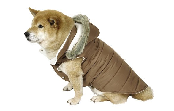 bunda-puffa-hneda2-oblecenie-pre-psov