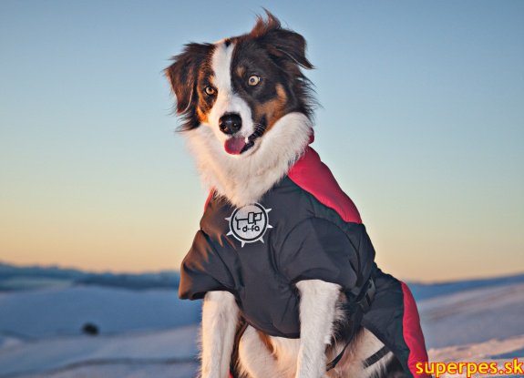 oblecenie-pre-psa-puff-doggy